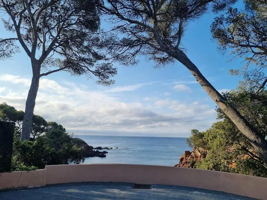 La Passiflore Saint-Raphael  0*, Saint-Raphael (Var)