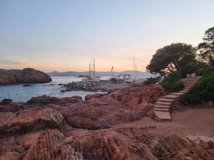 La Passiflore Saint-Raphael