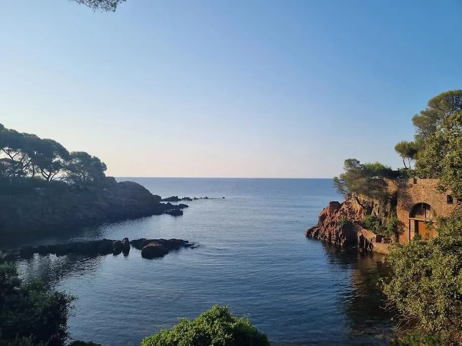 Holiday home La Passiflore Saint-Raphael