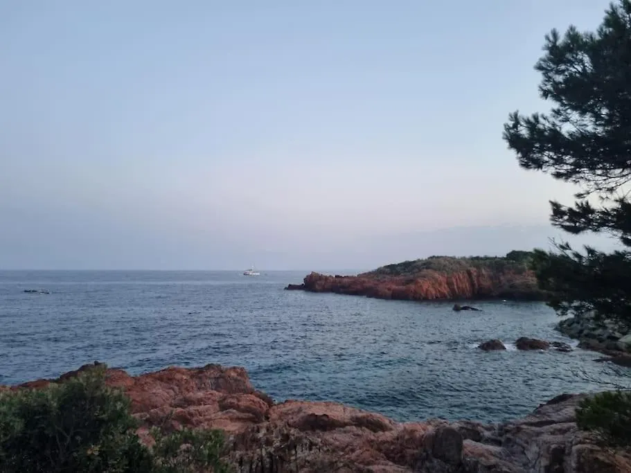 La Passiflore Saint-Raphael  0*, Saint-Raphael (Var) France