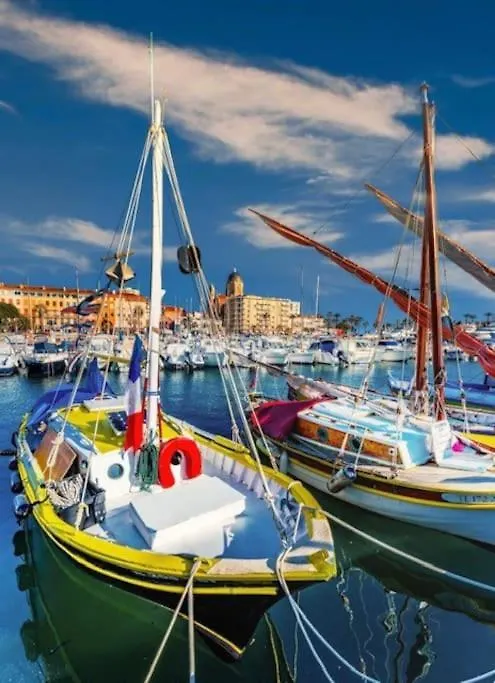 Holiday home La Passiflore Saint-Raphael